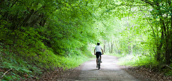 Cycling in Dumfries and Galloway