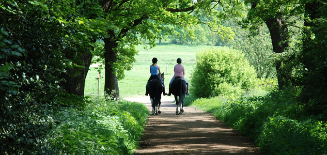 Horse riding in Dumfries and Galloway